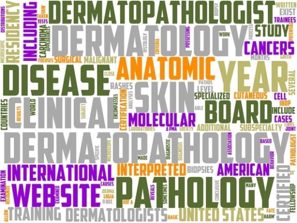 Dermatopathology Wordart Sticker