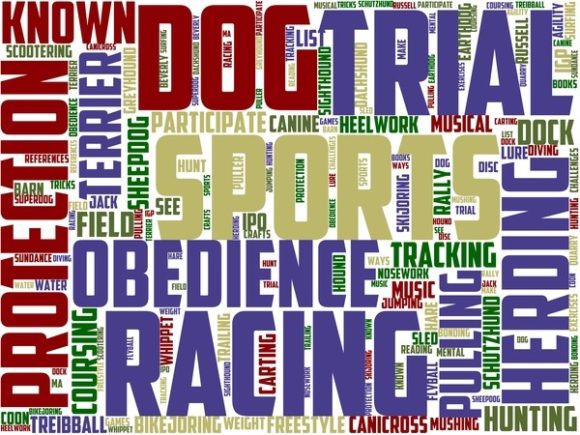Dog Sport Wordart Tshirt: A Thoughtful Choice for Creative, Theme-Driven Apparel