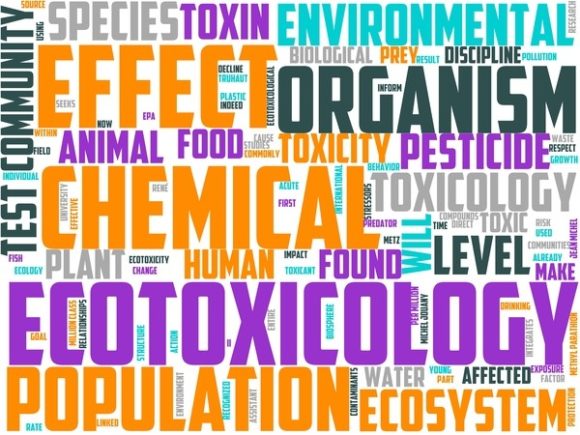 Ecotoxicology Wordart Background: Where Science Meets Creative Expression