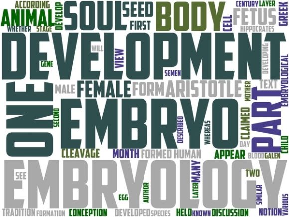 Embryology Wordart Print: A Vibrant Creative Tool for Designers and Makers