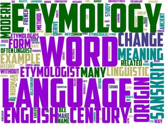 Entomology Wordart Sticker