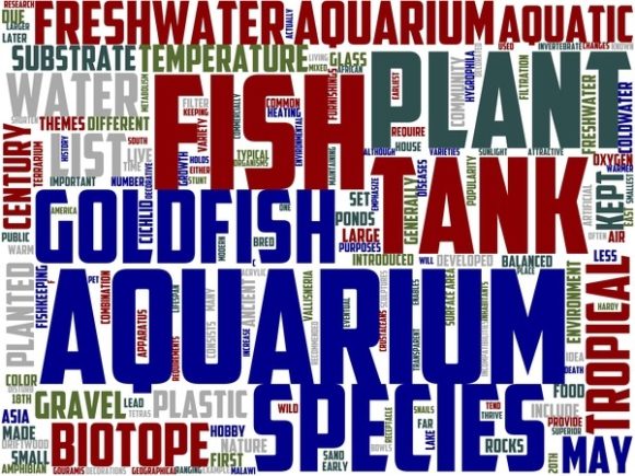 Freshwater Aquariums Wordart Print